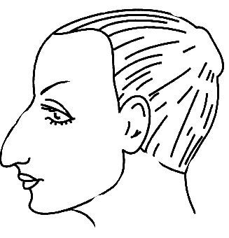 Конспект уроку за технологією "Вибір зачіски в залежності від фігури людини. Помилки в зачісках і способи їх виправлення"