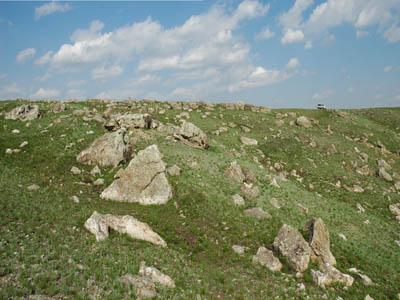 http://www.orenburg-gov.ru/magnoliaPublic/regportal/Info/OrbRegion/Nature/fotoalbom/PageContent/0/body_files/file15/017.jpg