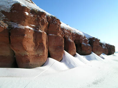 http://www.orenburg-gov.ru/magnoliaPublic/regportal/Info/OrbRegion/Nature/fotoalbom/PageContent/0/body_files/file8/010.JPG