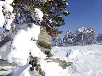 http://www.orenburg-gov.ru/magnoliaPublic/regportal/Info/OrbRegion/Nature/fotoalbom/PageContent/0/body_files/file6/008.jpg