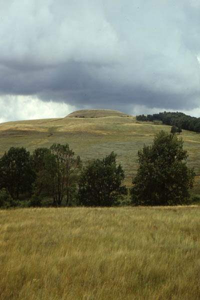 http://www.orenburg-gov.ru/magnoliaPublic/regportal/Info/OrbRegion/Nature/fotoalbom/PageContent/0/body_files/file18/020.jpg