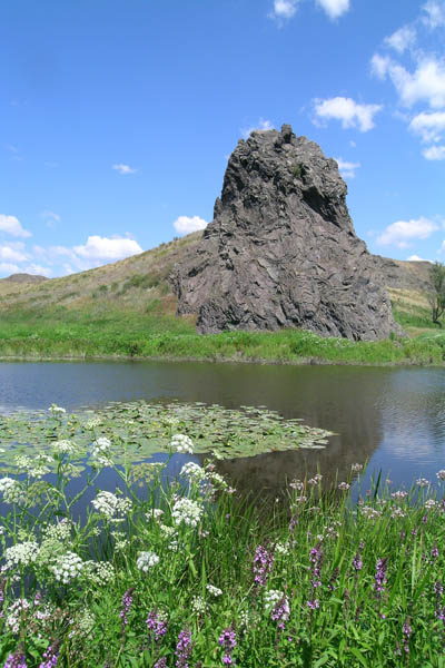 http://www.orenburg-gov.ru/magnoliaPublic/regportal/Info/OrbRegion/Nature/fotoalbom/PageContent/0/body_files/file14/016.JPG