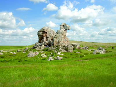 http://www.orenburg-gov.ru/magnoliaPublic/regportal/Info/OrbRegion/Nature/fotoalbom/PageContent/0/body_files/file5/007.JPG