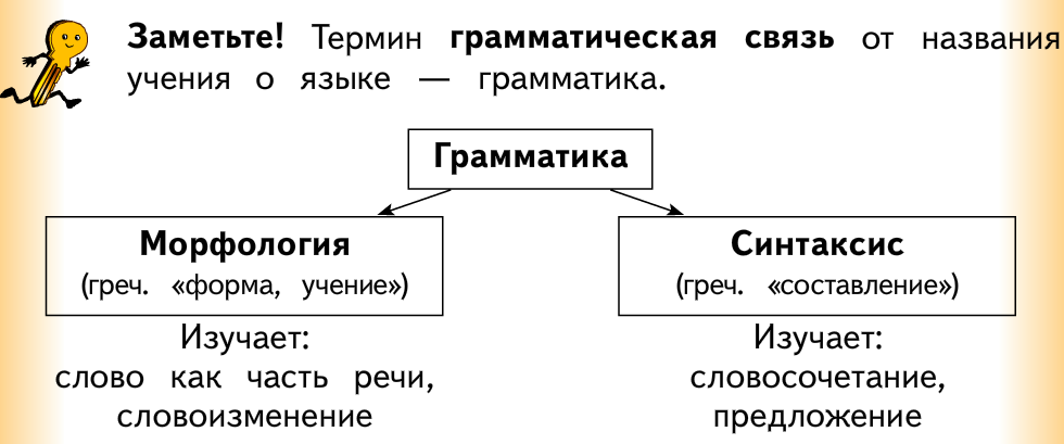 План на тему морфология