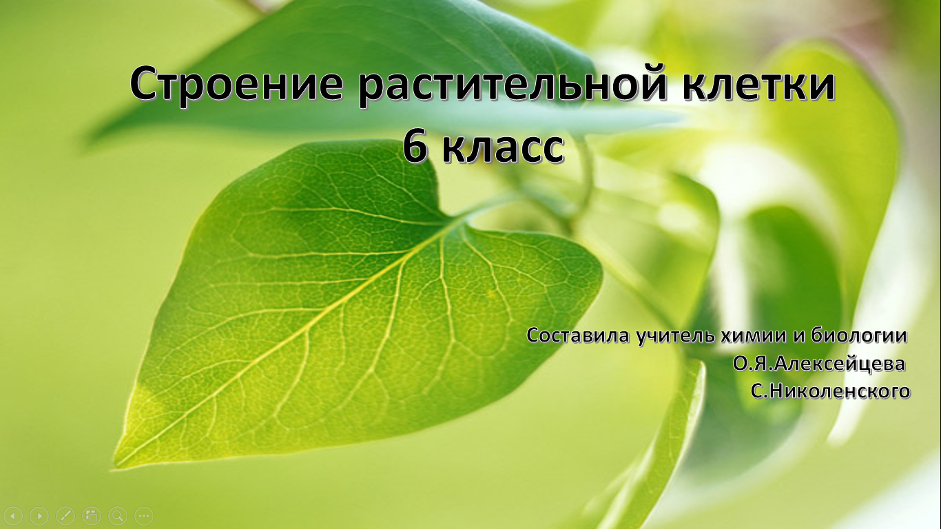 Презентация 6 кл