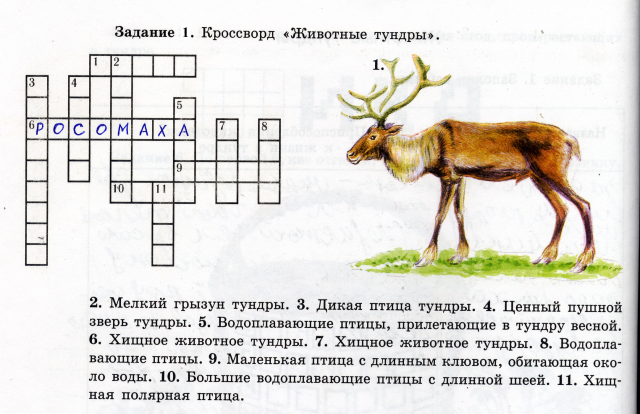 В заповедниках живут редкие звери схема предложения