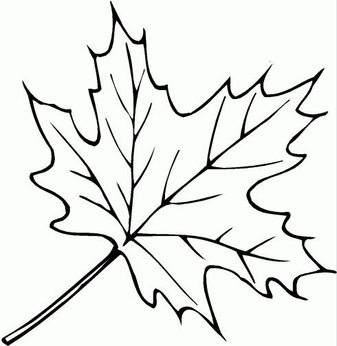 http://www.mescoloriages.com/coloriages/nature/feuilles/feuilles%202/images/feuilles_012.jpg