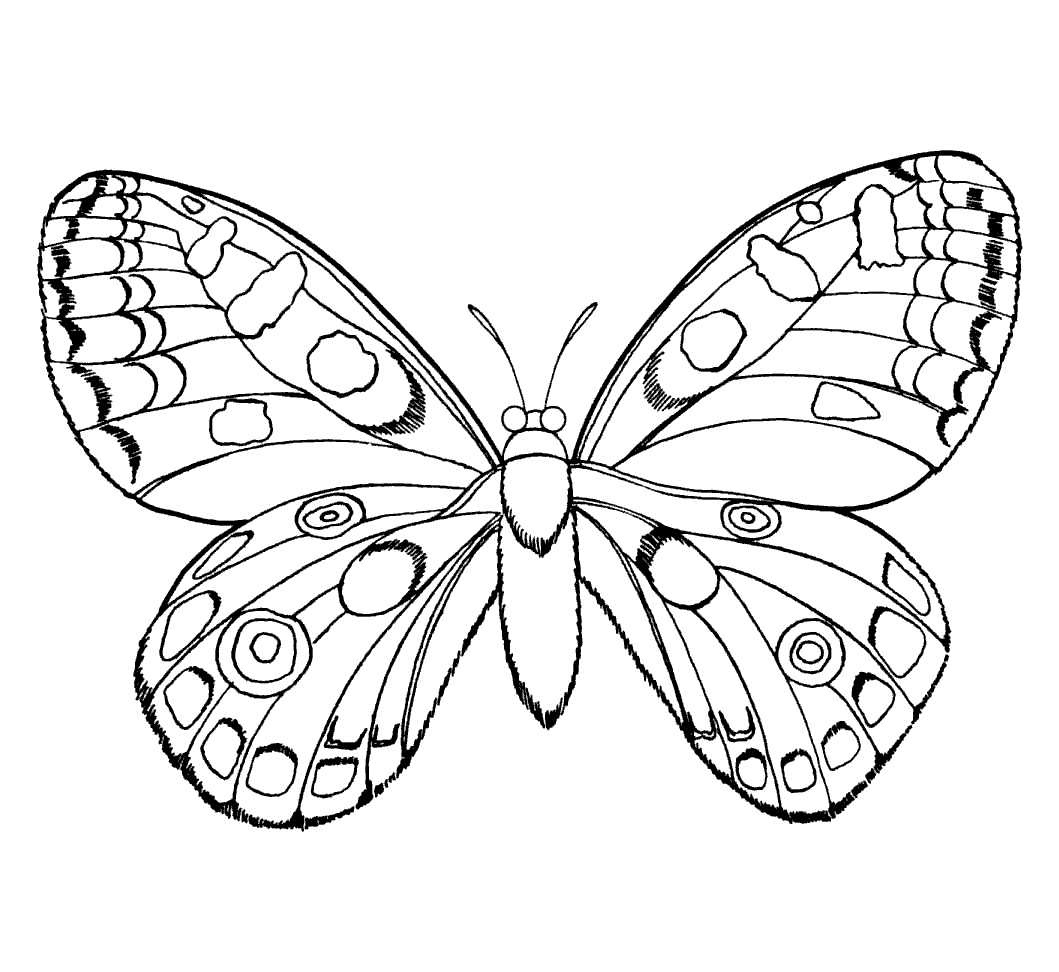 http://www.raskraska.com/catalog0001/3062.gif