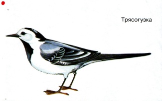 Копия 1 001.jpg