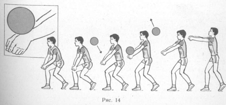 Волейбол передача мяча сверху и снизу