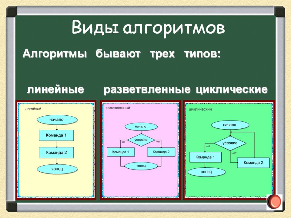 Виды алгоритмов в информатике 6 класс презентация