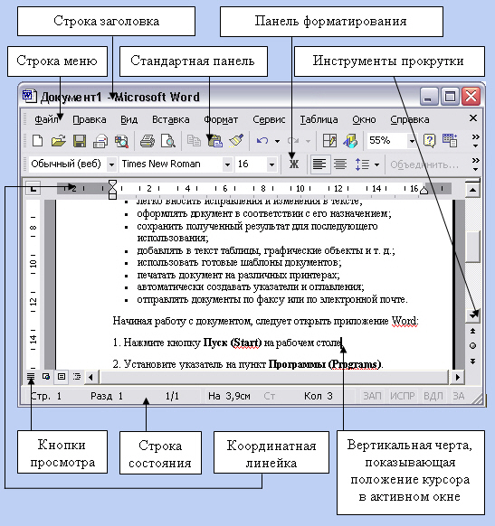 Текстовый процессор microsoft. Окно текстового процессора Microsoft Word. Назначение текстового редактора MS Word. Основные элементы текстового документа Word. Основные возможности текстового редактора MS Office Word..