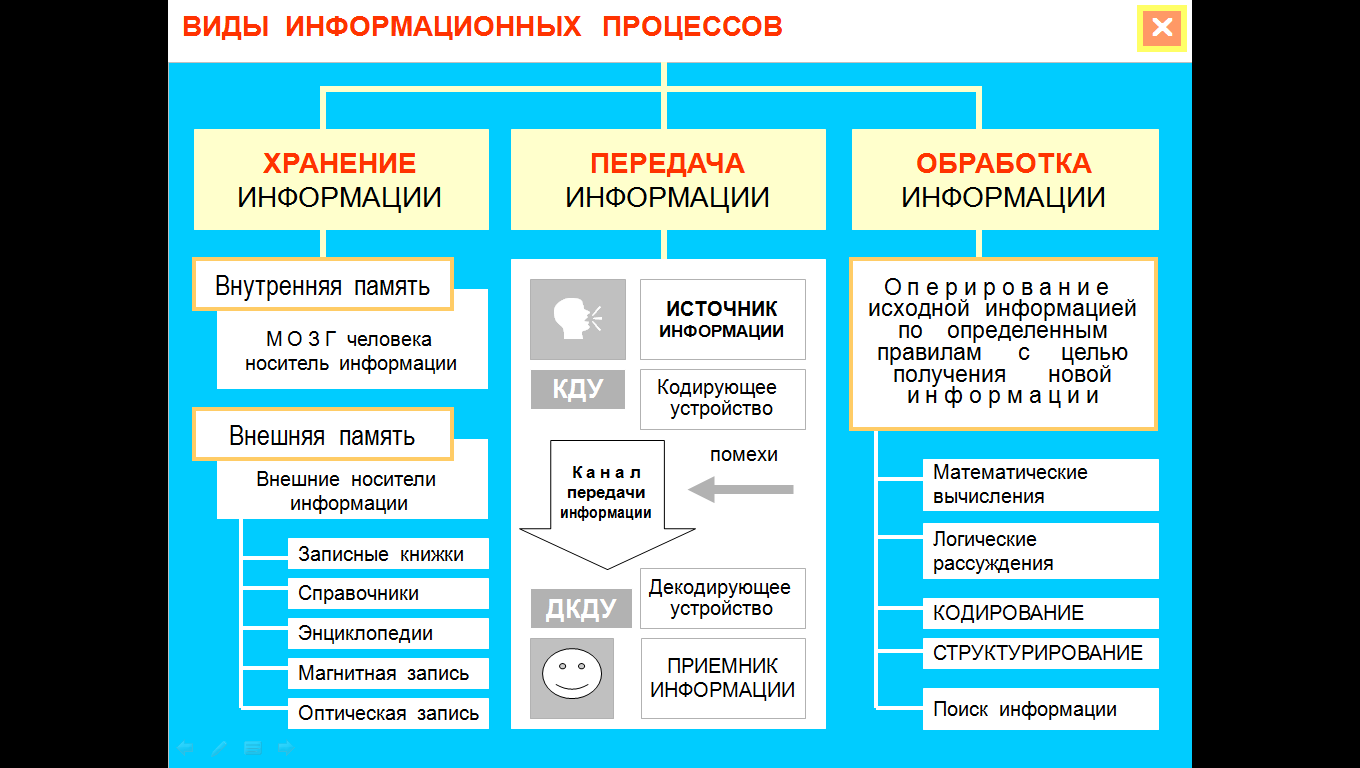 Презентация по информатике 7 класс информационные процессы