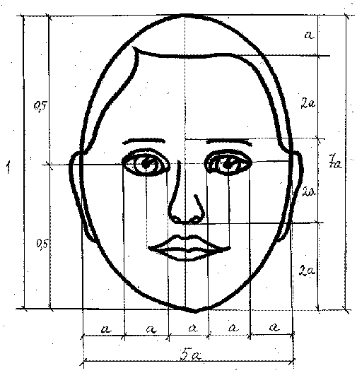 Схема лица изо 6 класс - 87 фото