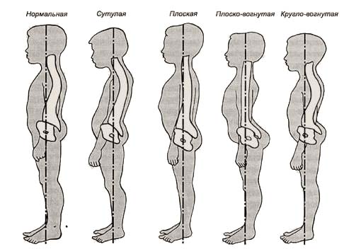 D:\Мои документы\osanka02.jpg