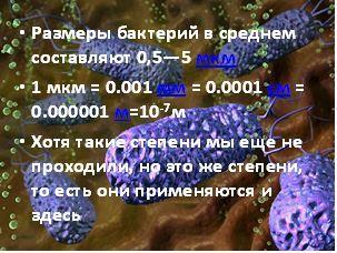 C:\Users\ССВ\Desktop\бактерия.jpg