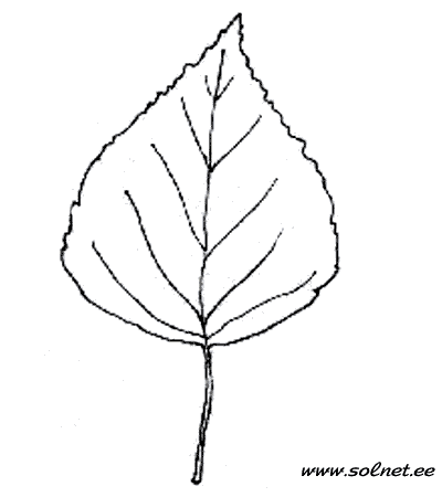 http://www.solnet.ee/sol/004/raskraski8/leaf07.gif