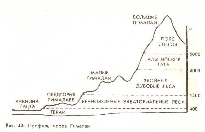 Диаграмма наибольшей высоты гор