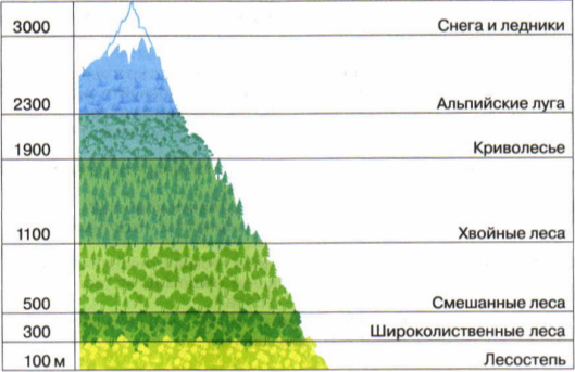 Схема высотной поясности кавказа