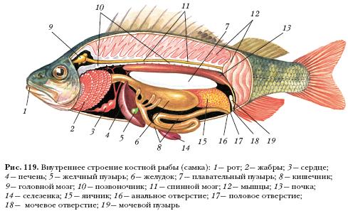 http://rudocs.exdat.com/pars_docs/tw_refs/393/392595/392595_html_1911b4a9.jpg