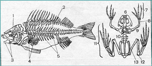 http://rudocs.exdat.com/data/531/530533/530533_html_m2719be97.jpg