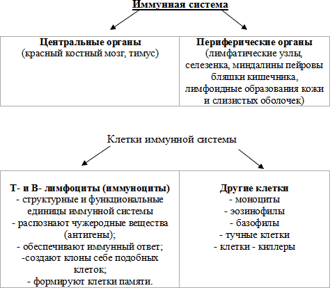 http://festival.1september.ru/articles/569468/1.gif