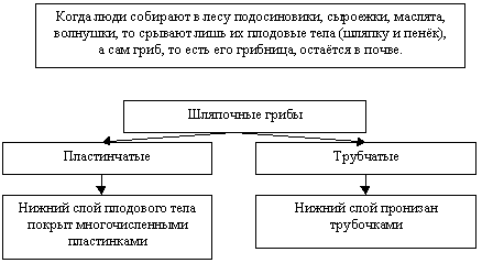 http://festival.1september.ru/articles/590971/img5.gif