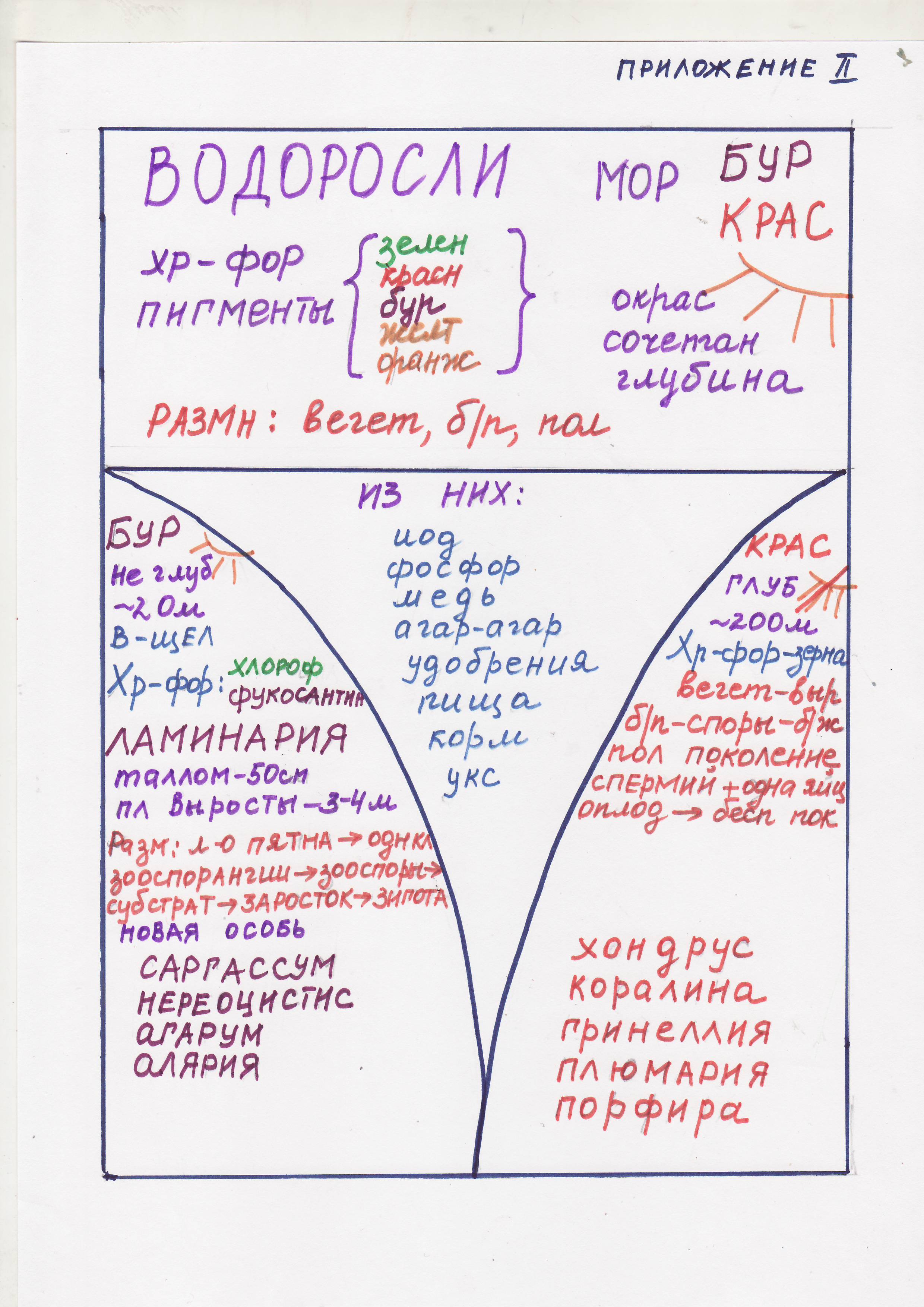 C:\Users\Ирина\Desktop\2015-01-03\Image0008.JPG