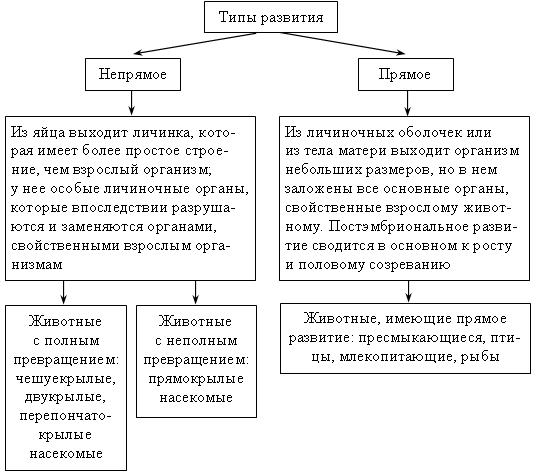 Схема развития животных 6 класс