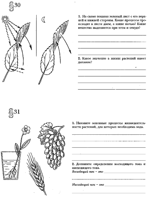 Литература 6 класс листья. Рабочие листы по биологии. Рабочий лист на уроке биологии. Задания по теме листья. Конспект урока по биологии 6.