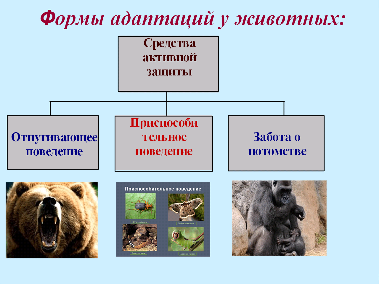 Адаптация животных презентация