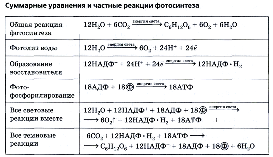 Какая схема представляет собой уравнение химической реакции