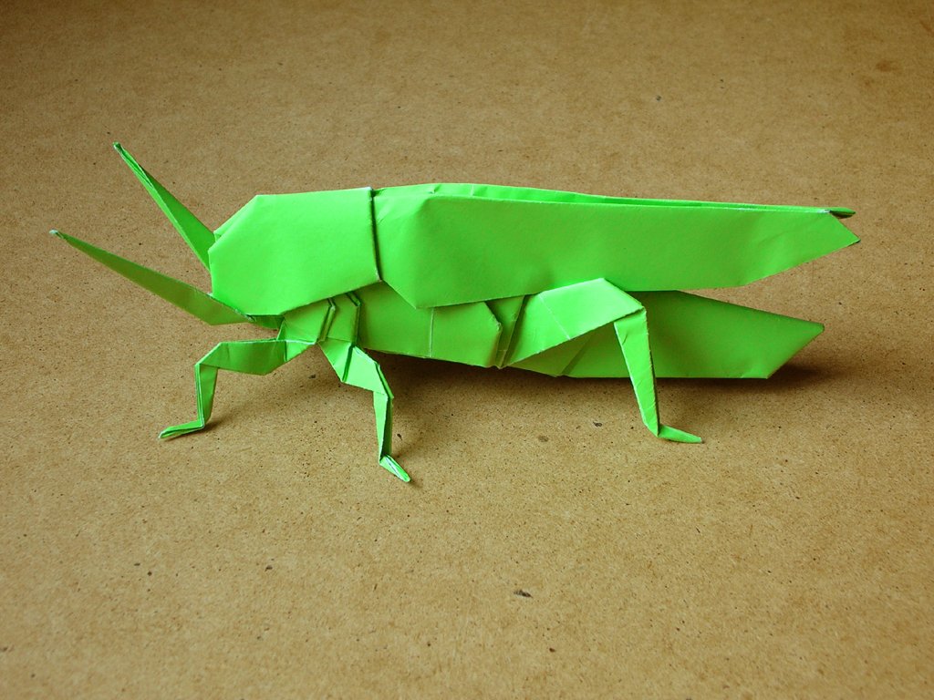 http://mirorigami.narod.ru/insects/Saltamontes_01.jpg