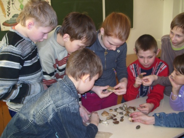 Изображение 210