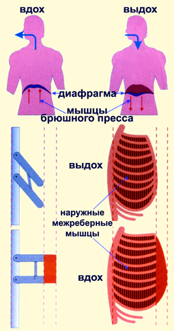 %5bBI8ZD_11-02%5d_%5bIL_02%5d-k