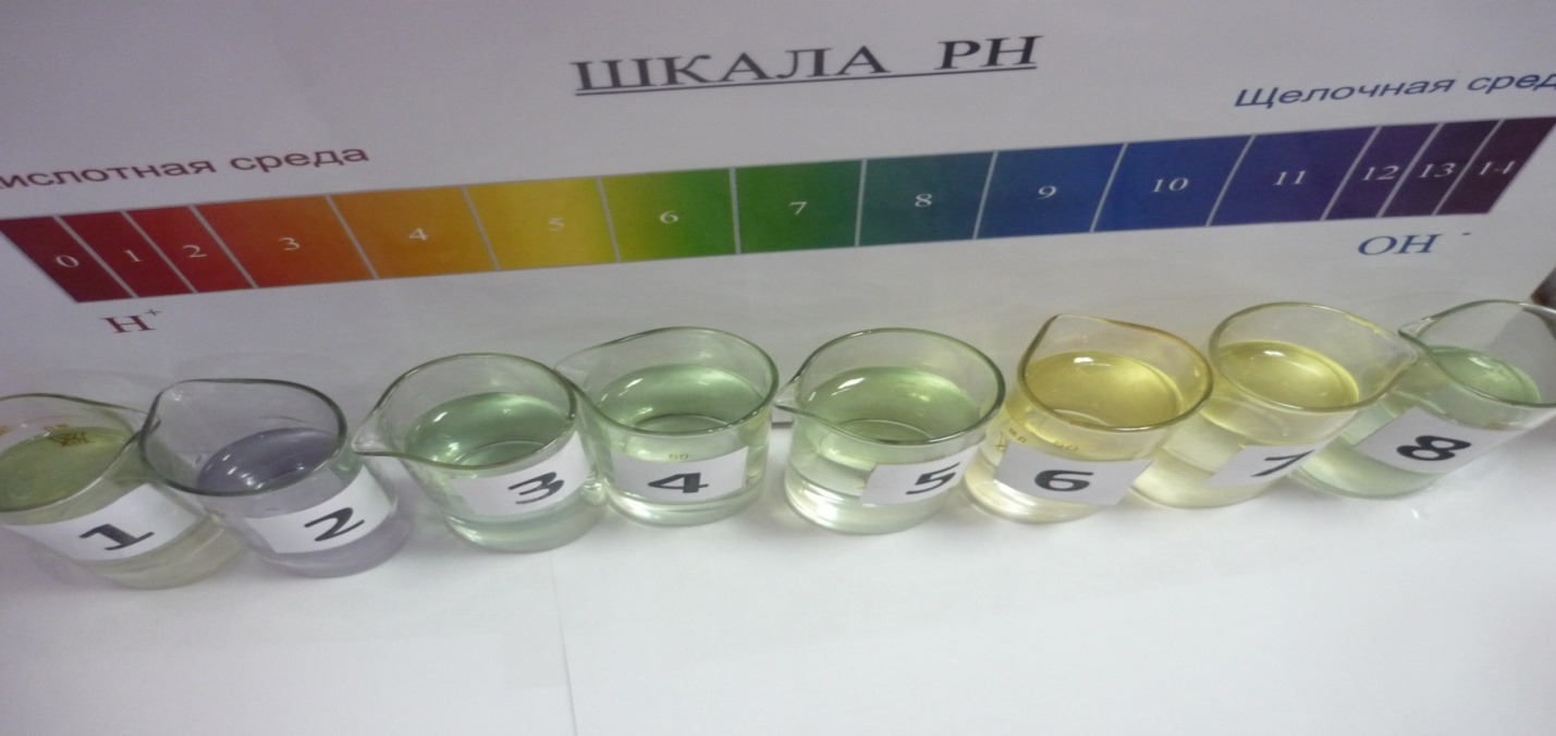 C:\Users\Вероника\Desktop\вода Яна\ВОДА\P1010619.JPG