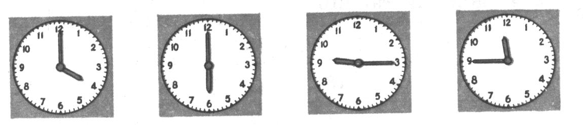 Копия SWScan01135