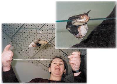 http://www.eduhmao.ru/fatwire/SparkData/images/_106.jpg