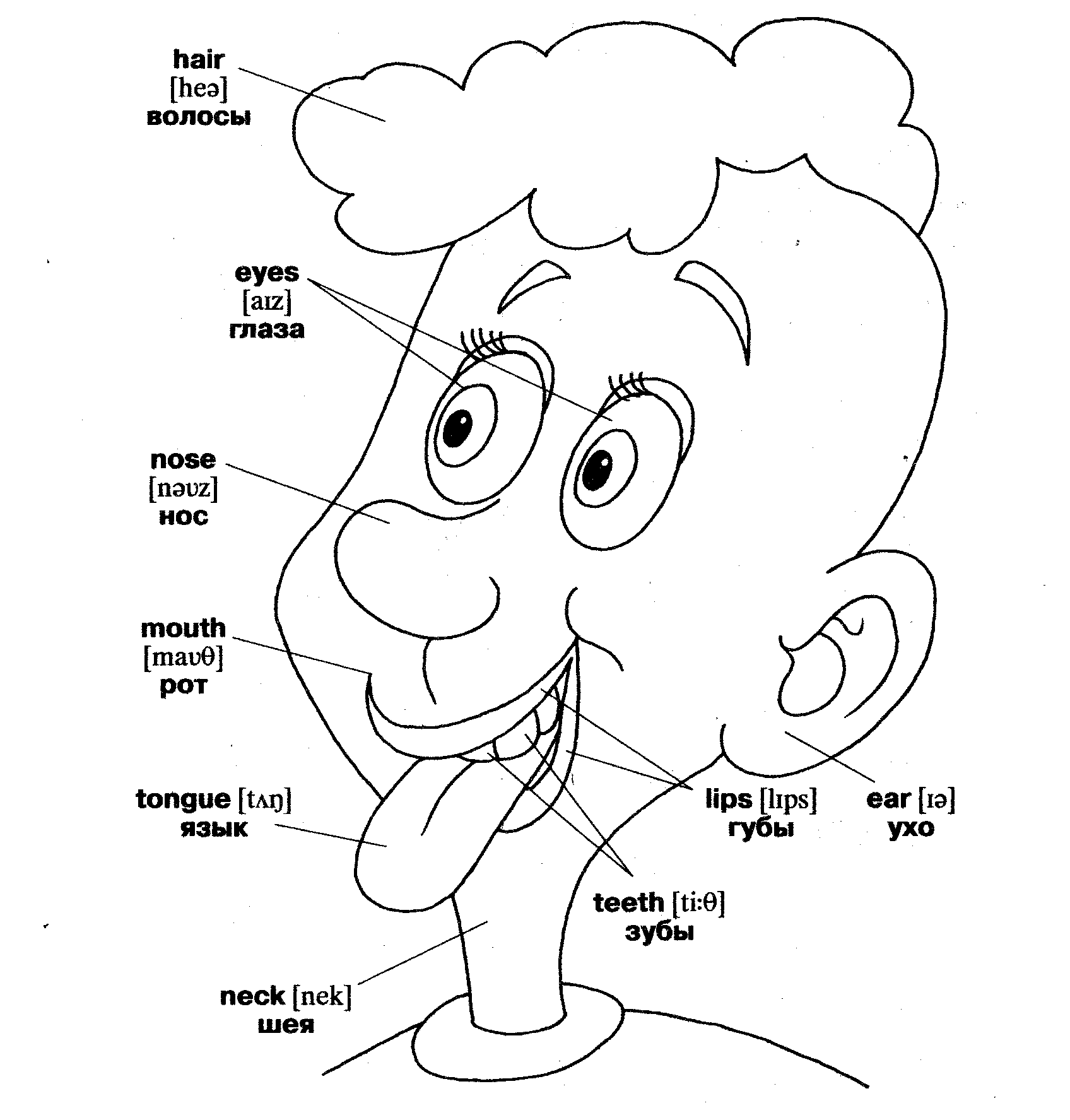 Уши по английски. Англо-русский словарик в картинках. Раскраска русско-английского словаря. Словарик раскраска по английскому. Мистер язычок английский раскраска.