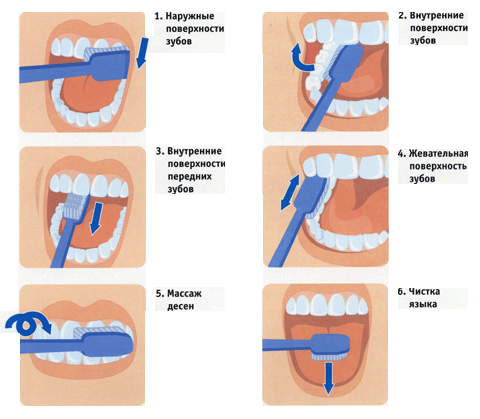 Картинка 1 из 37794