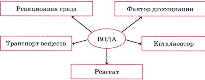 Вода как реагент и среда для химического процесса презентация