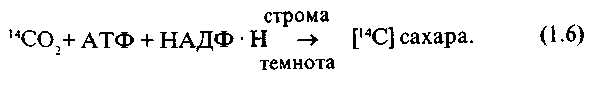 http://www.library.timacad.ru/sources/electr_izd/kovalev/Image7.gif