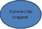 Овал 10