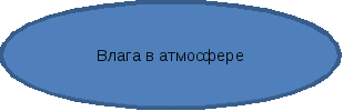 Овал 1