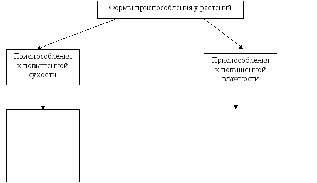 Полотно 24