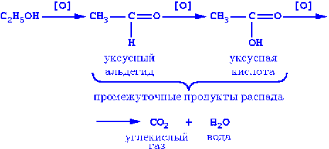 Составьте схему генетической связи между углеводородами спиртами альдегидами и карбоновыми кислотами