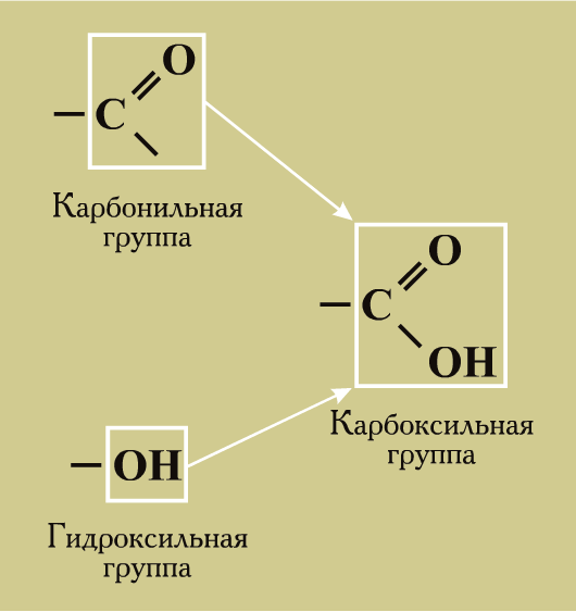 1 альдегидная группа. Карбонильная группа и карбоксильная группа. Карбонильная группа формула. Карбонильная функциональная группа формула. Карбоксильная группа и гидроксильная группа.