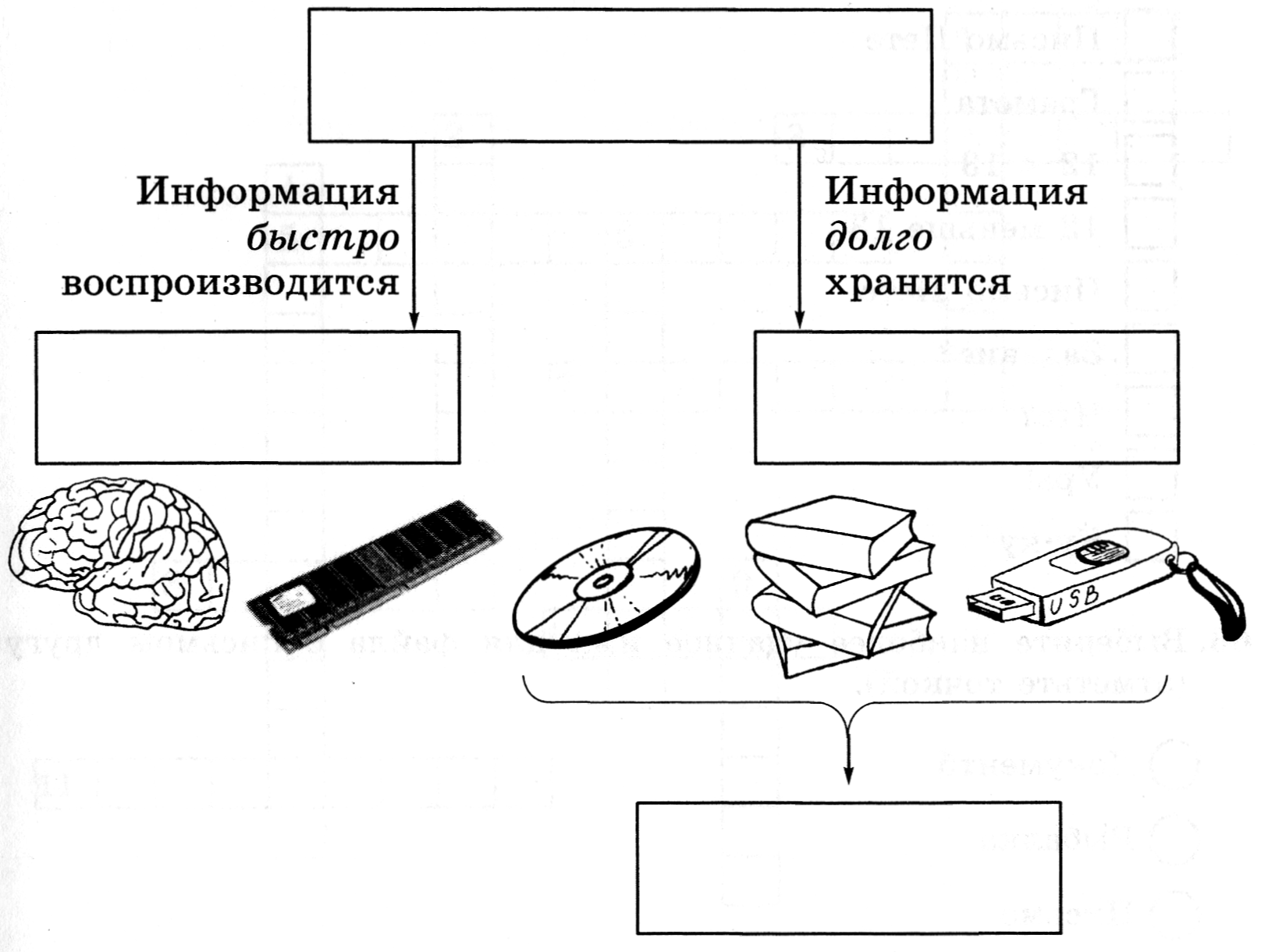 Марина иванова работая над проектом по литературе создала следующие файлы