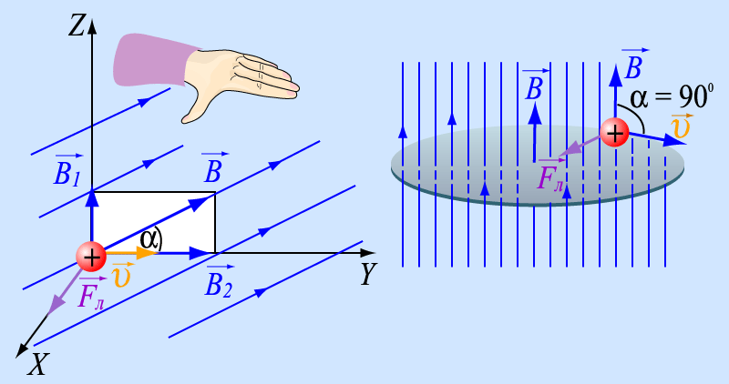 19 сила лоренца изобразите на рисунке направление силы лоренца