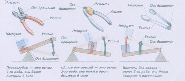 Какие из показанных на рисунке 214 инструментов можно рассматривать как разновидности рычага